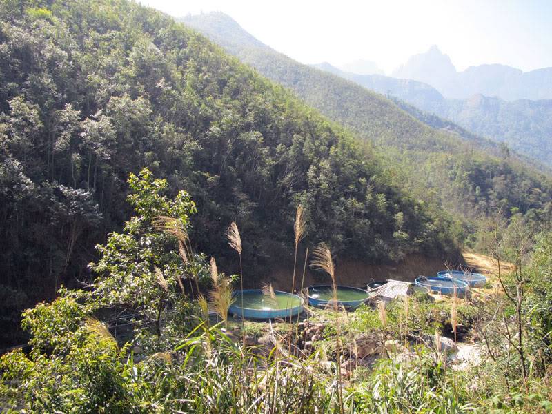 HongNgai2011142.jpg