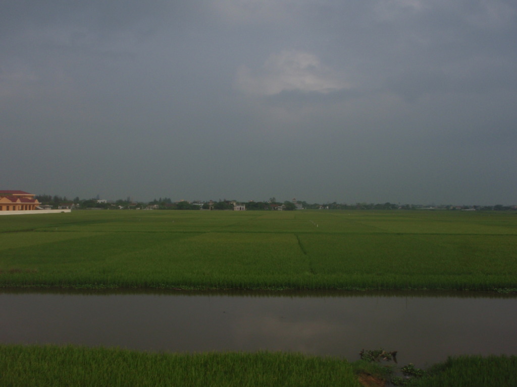 P1012645.jpg