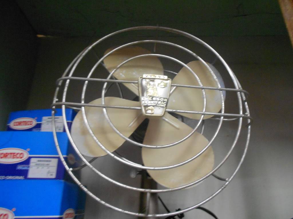 DSCN0231.jpg
