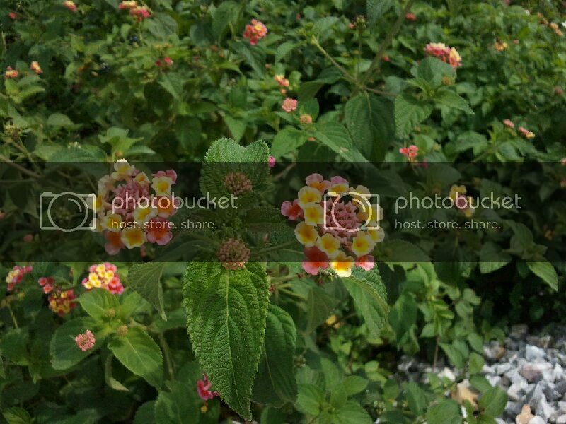 image-1346983647420-V.jpg