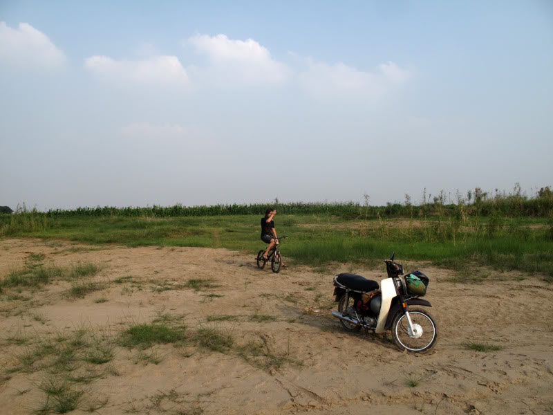 sh31.jpg