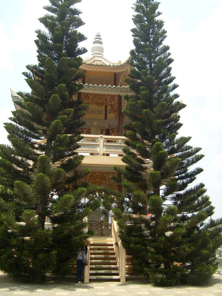 S6300944.jpg
