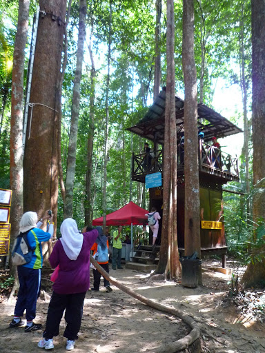 P1100589.JPG