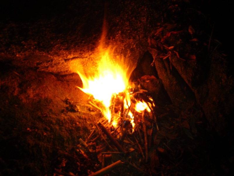 1260_zps70f5ec15.jpg