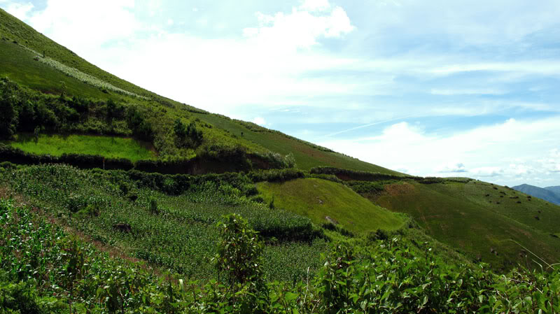 IMG_1781.jpg