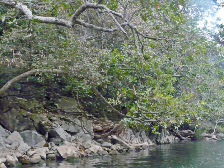 P1050546.JPG