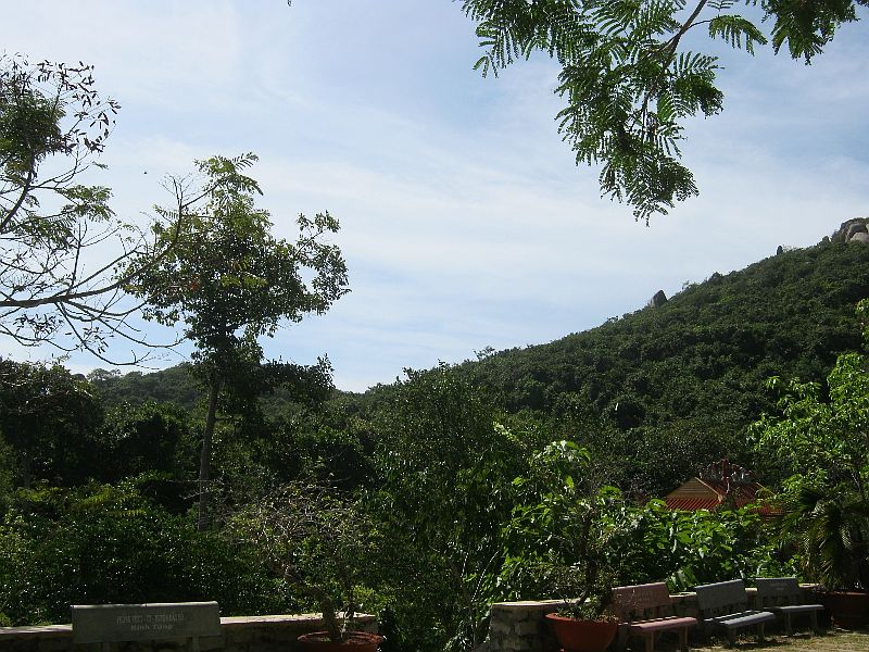 IMG_8935.jpg