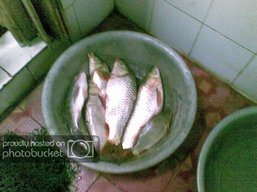 09092009017.jpg