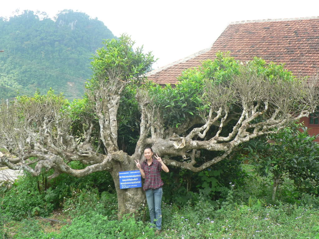 P1090873.jpg