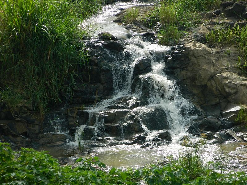 DSCN1678.jpg
