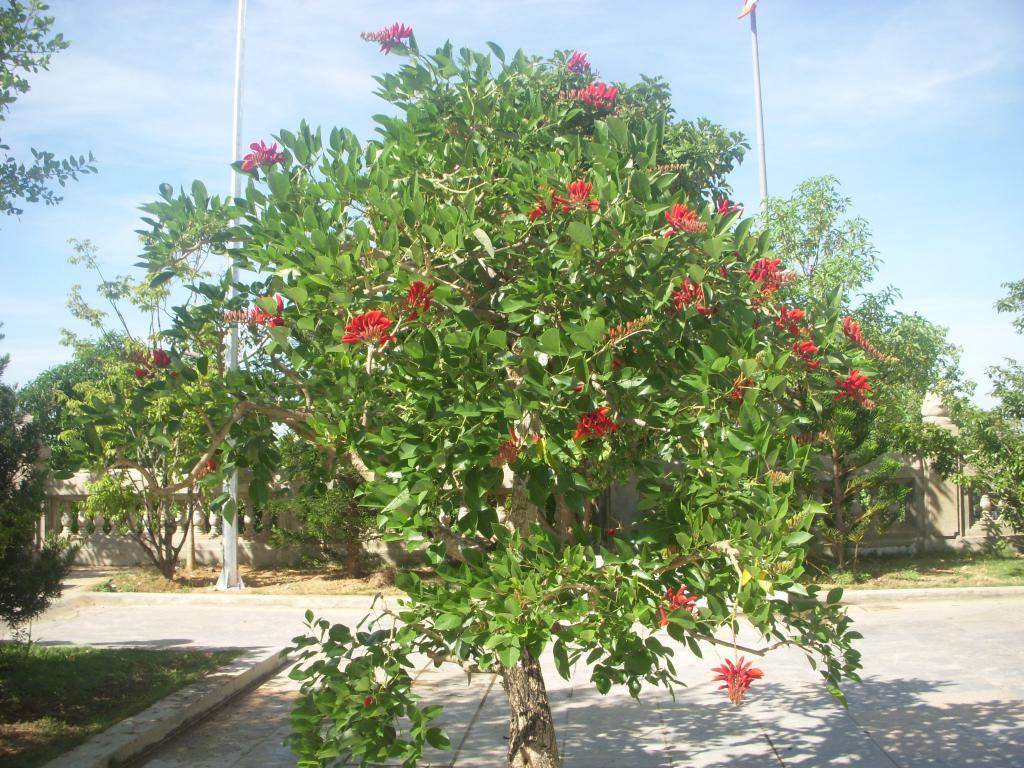 DSCN5307_zps10d32c11.jpg