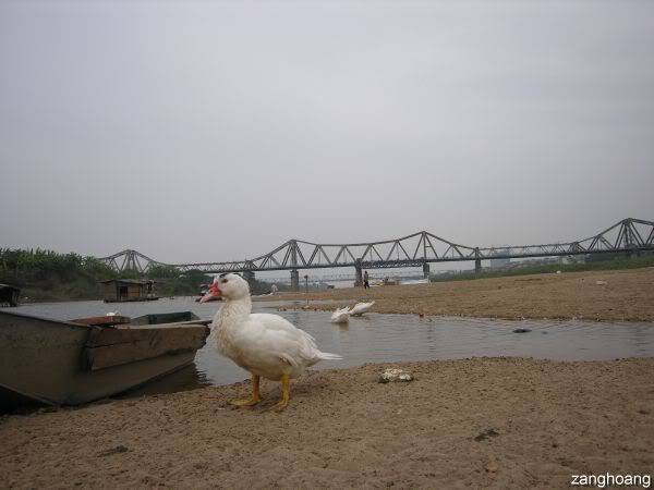 DSCN0615.jpg