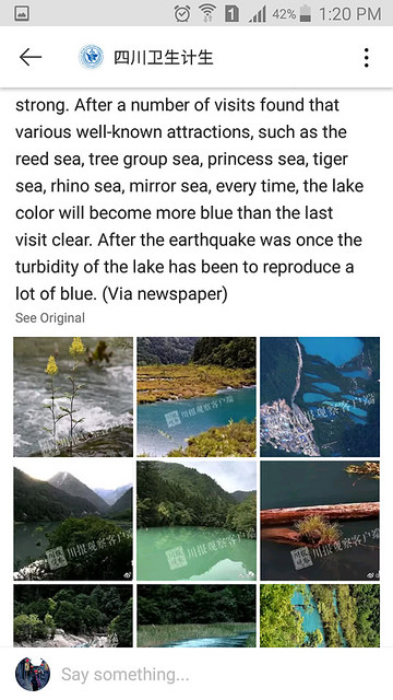 36454686882_21e159f0c4_z.jpg