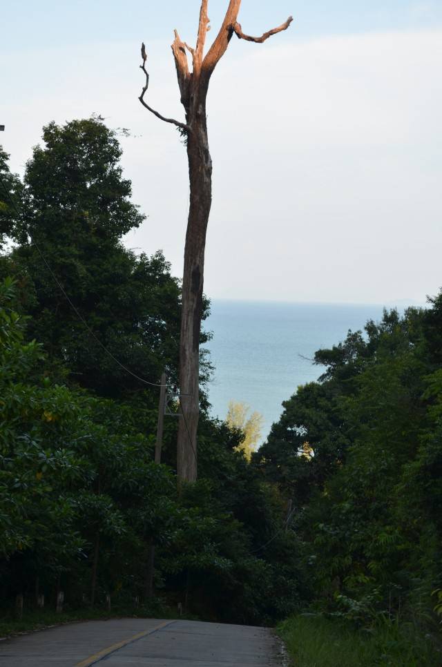 DSC_2324.jpg