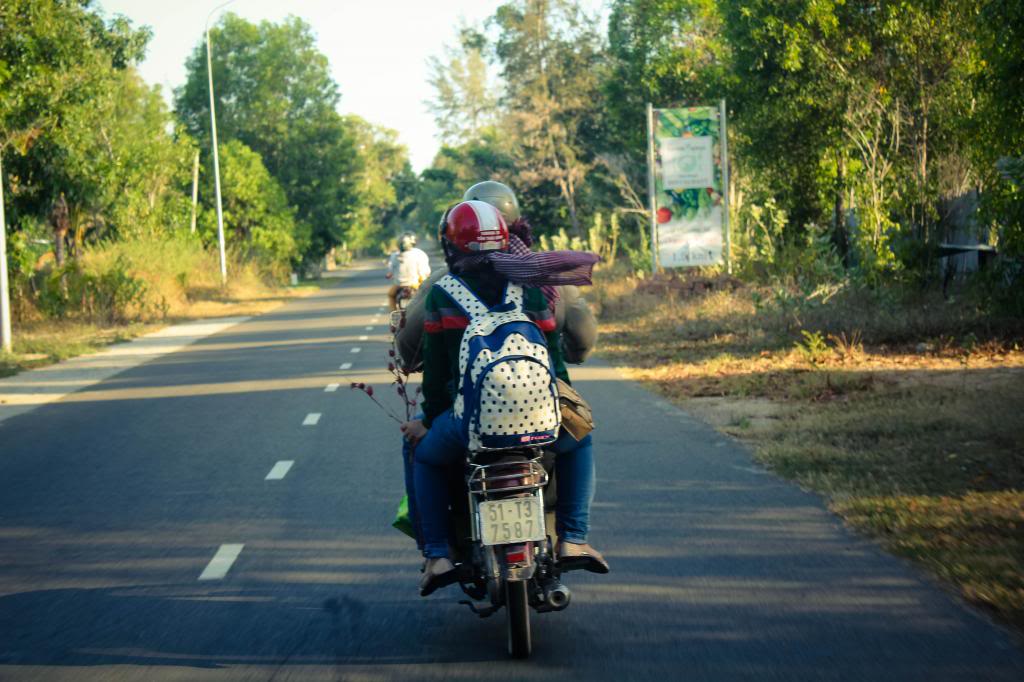 IMG_8520_zpsc9d83ed5.jpg