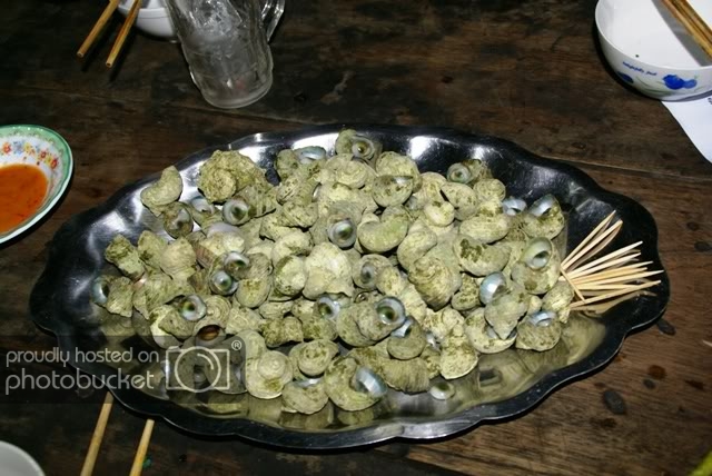 ocmatngoc.jpg
