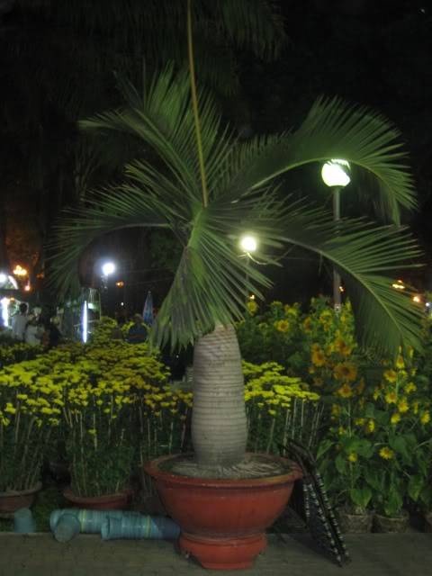 IMG_1642.jpg
