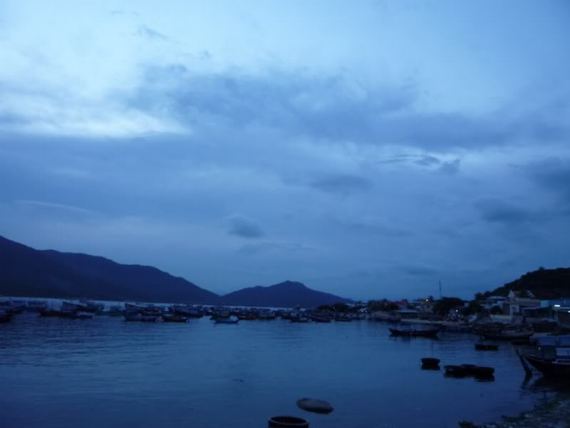 P1010602800x600.jpg
