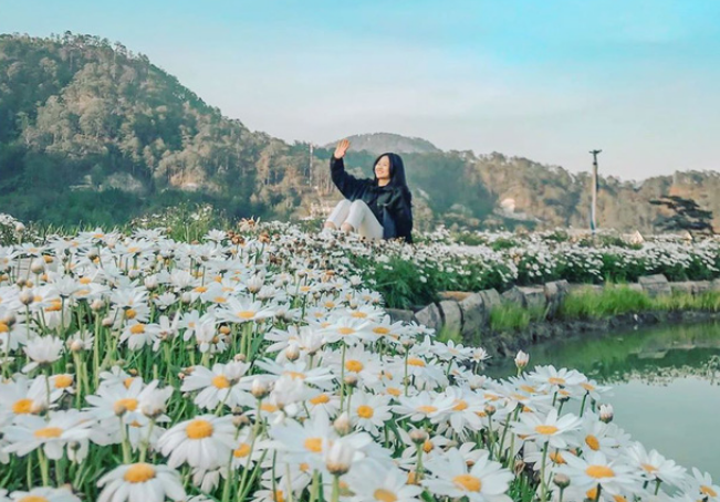 The Wilder-nest Đà Lạt