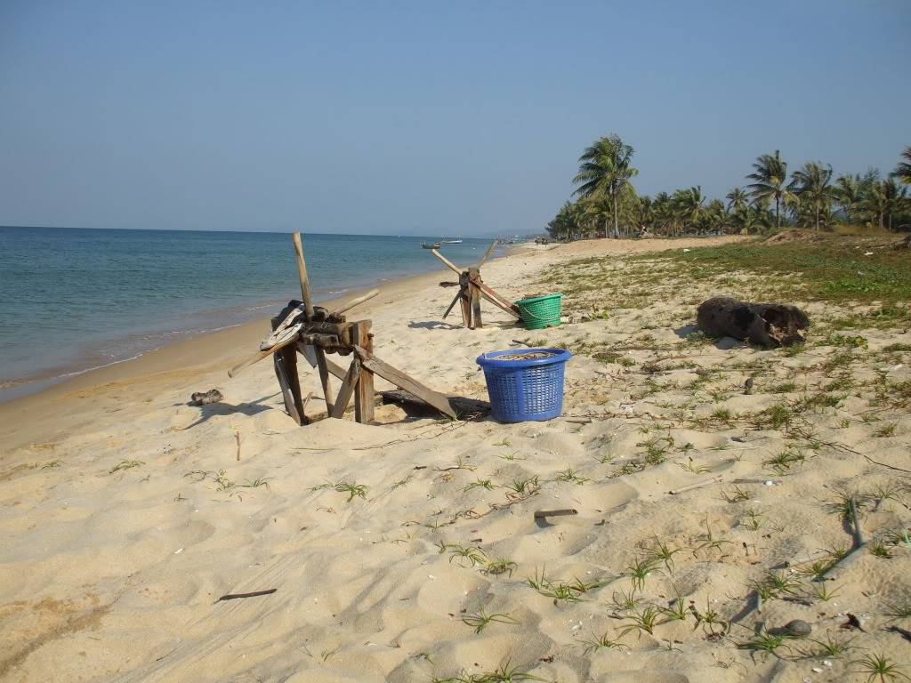 DSCF5026.jpg