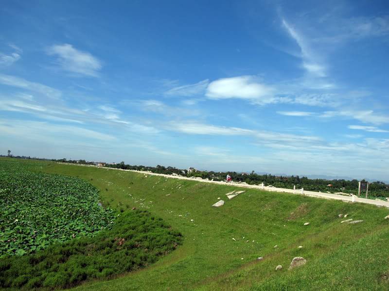 STD_7920.jpg
