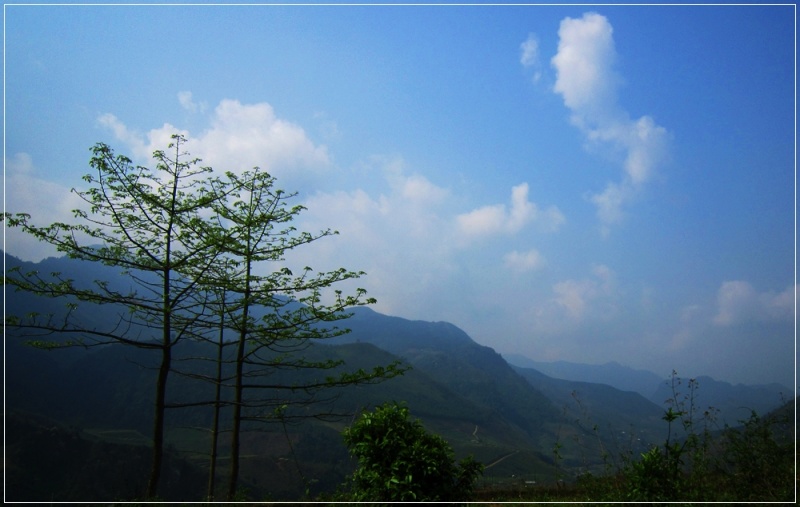 img_1510.jpg