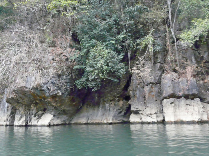 P1050537.JPG