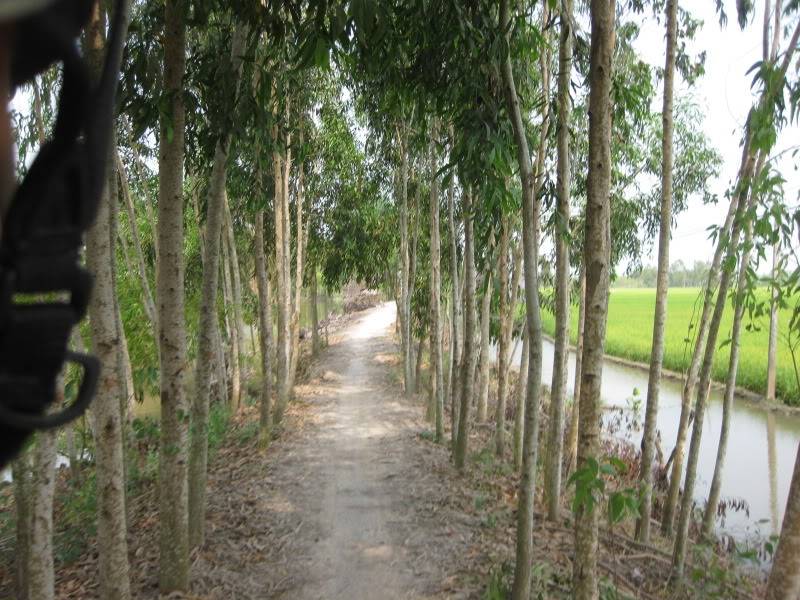 DongThapTET2011367.jpg