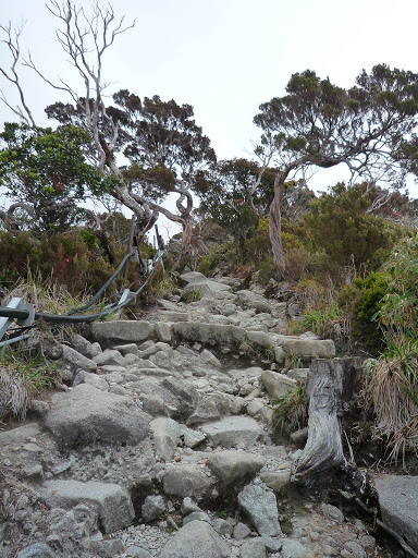 P1100433.JPG