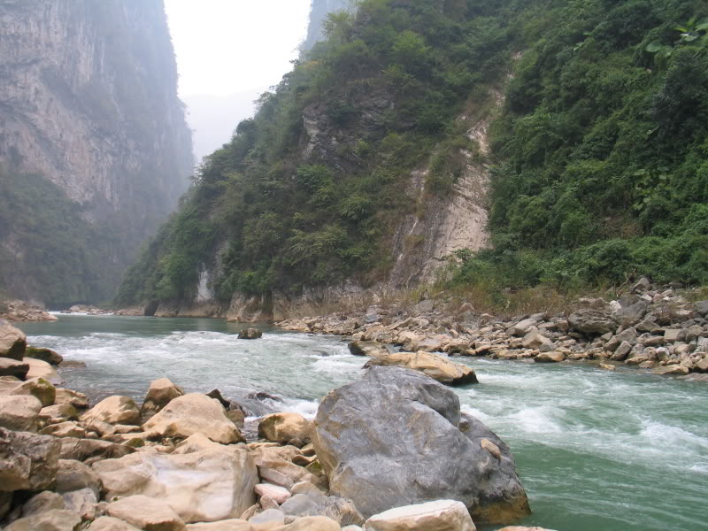 IMG_9263.jpg