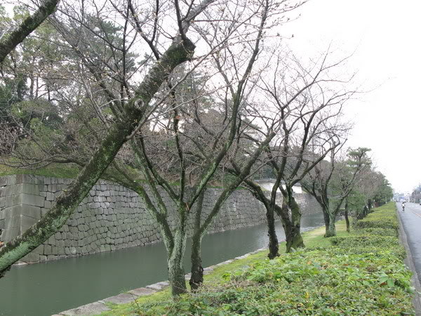 IMG_1543_resize.jpg
