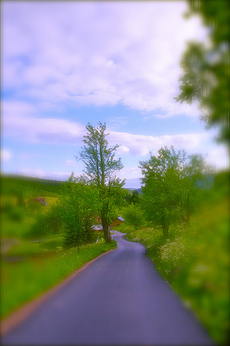 4839767396_2d52335543.jpg