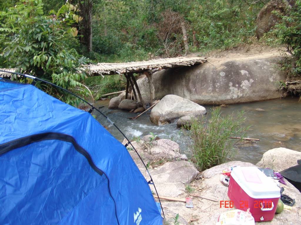 DSC09088.jpg