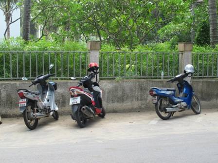 IMG_4181.jpg