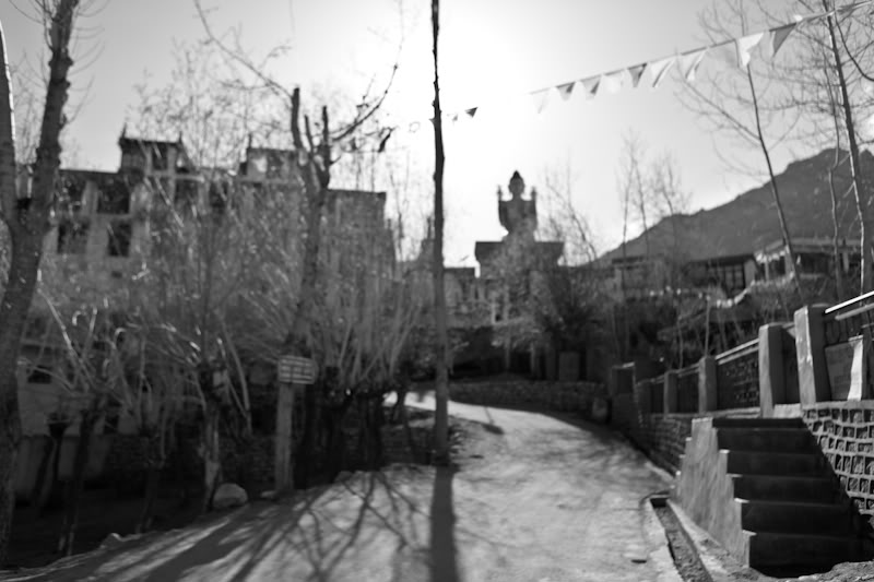 IMG_0808.jpg