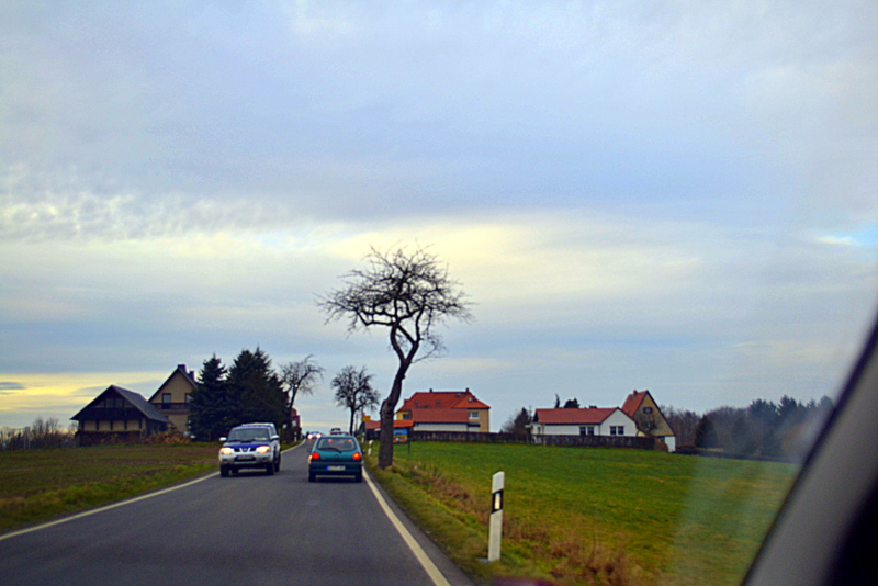 DSC_0535.jpg