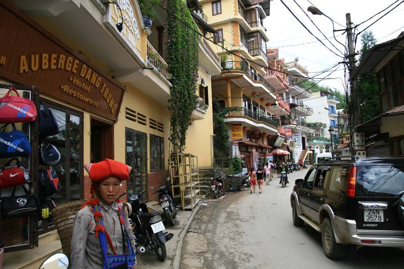 Sapa43.jpg