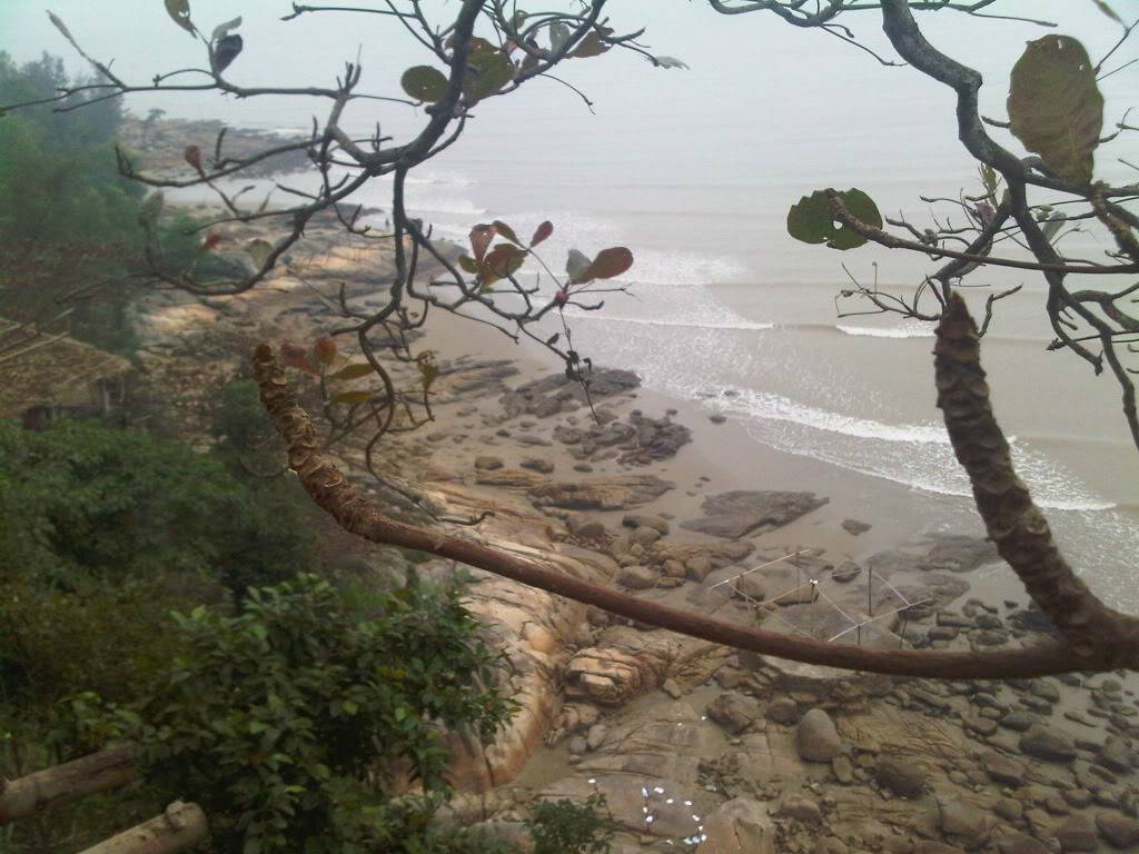 IMG-20120126-00073.jpg