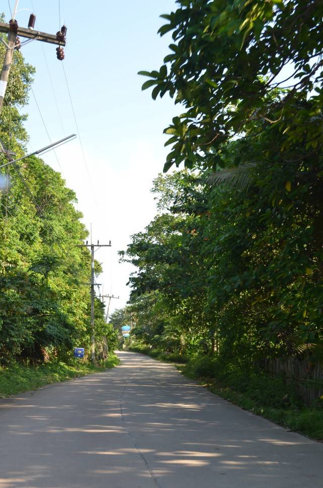DSC_2297.jpg