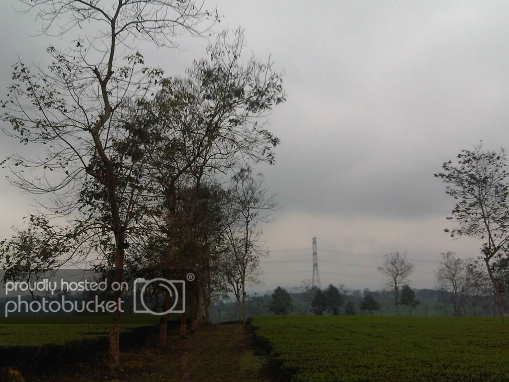 IMG00404-20120303-1027.jpg