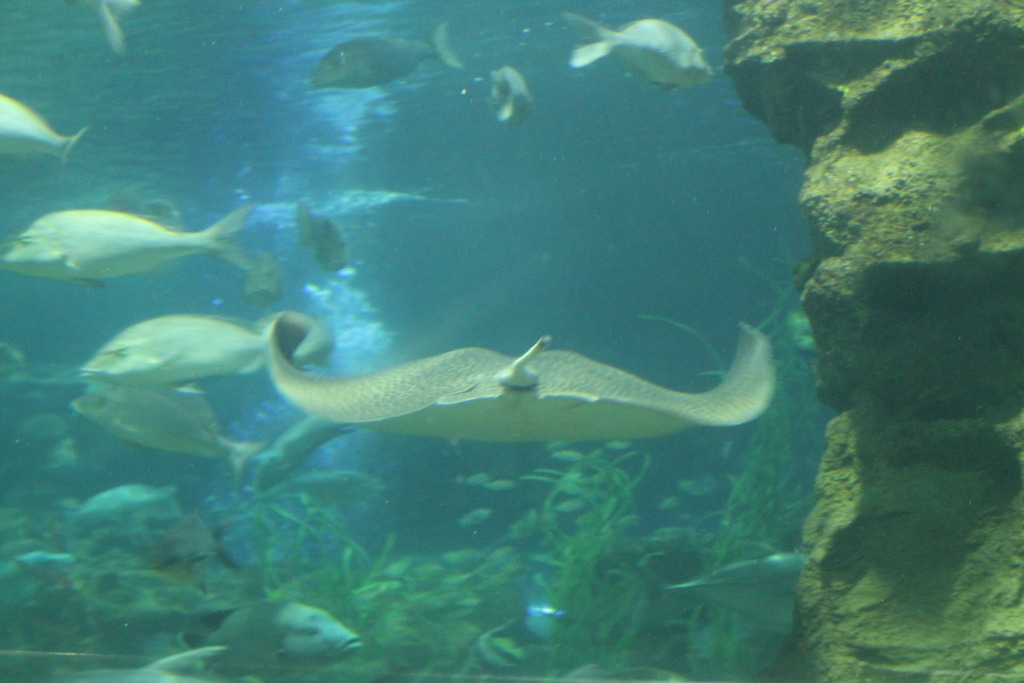 IMG_1821_zpsblyyznl4.jpg