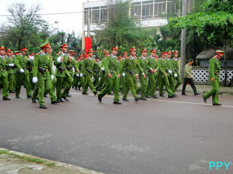 DSC04500800x600.jpg