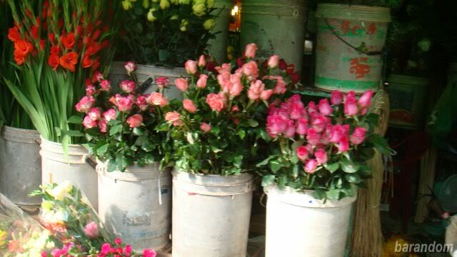 DSC06760.jpg