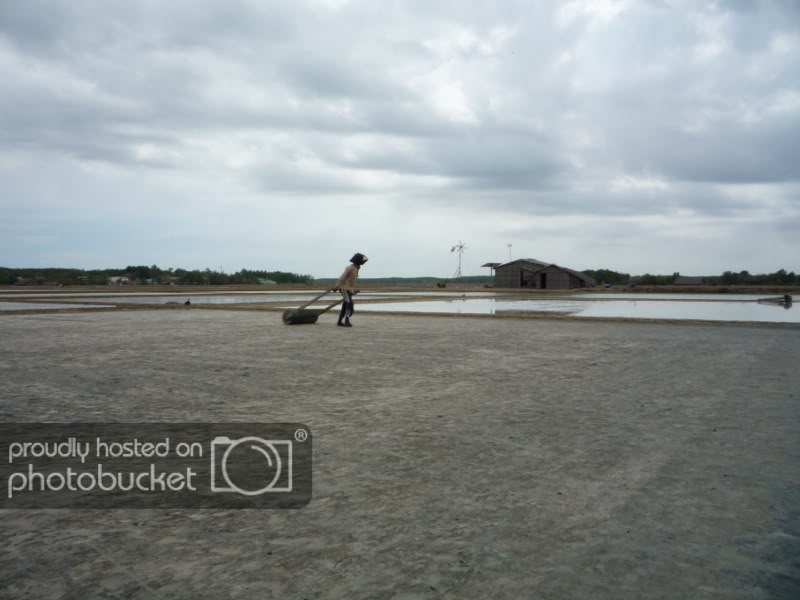 P1030309800x600.jpg
