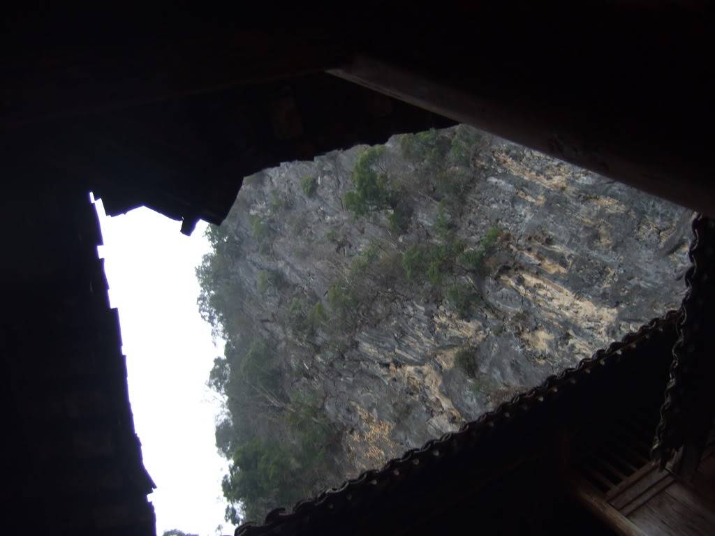 DSCF1154.jpg