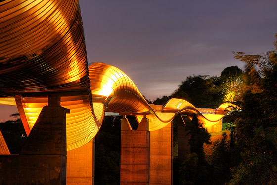 henderson_waves_bridge_2.jpg