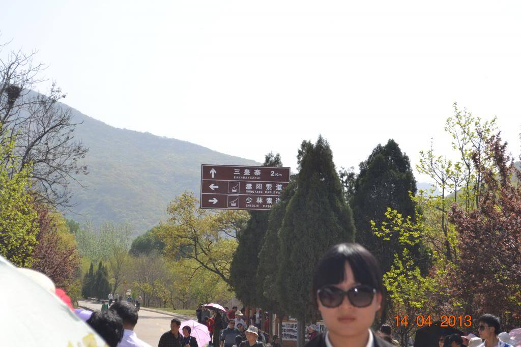 DSC_1160_zps97d8e845.jpg