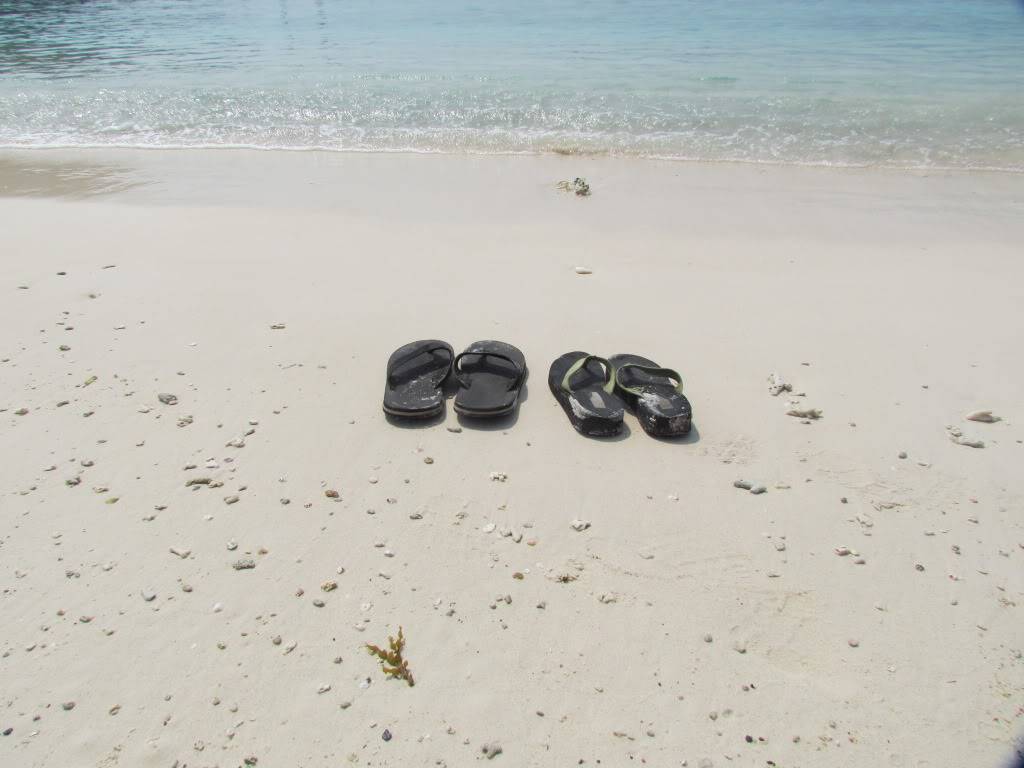 IMG_2515.jpg