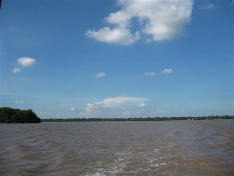 IMG_6154Medium.jpg