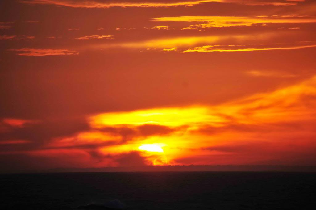 DSC_1684_zps6eeb4fa6.jpg